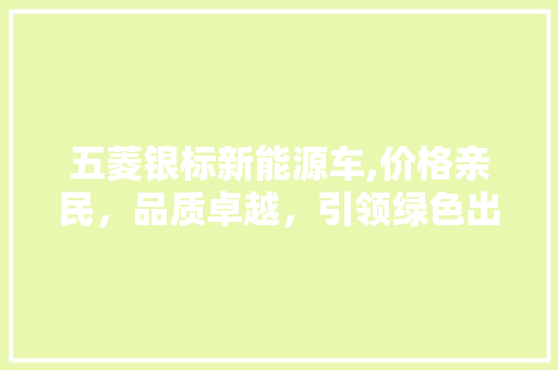 五菱银标新能源车,价格亲民，品质卓越，引领绿色出行新风尚