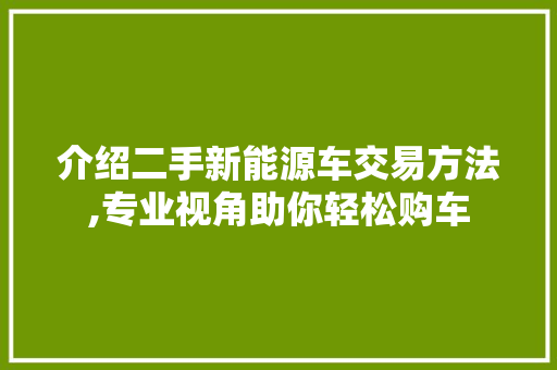 介绍二手新能源车交易方法,专业视角助你轻松购车
