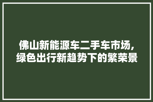 佛山新能源车二手车市场,绿色出行新趋势下的繁荣景象