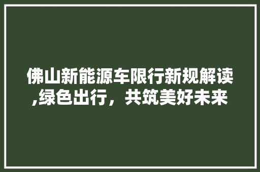 佛山新能源车限行新规解读,绿色出行，共筑美好未来