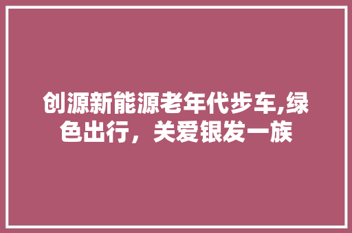 创源新能源老年代步车,绿色出行，关爱银发一族