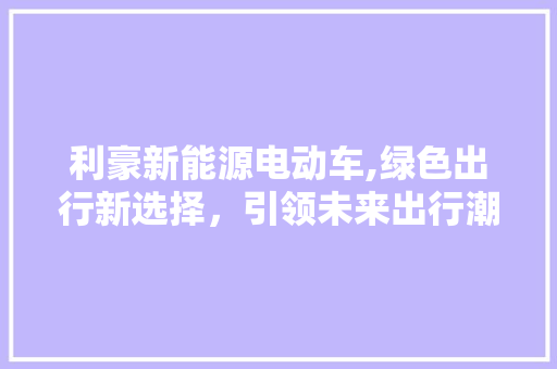 利豪新能源电动车,绿色出行新选择，引领未来出行潮流