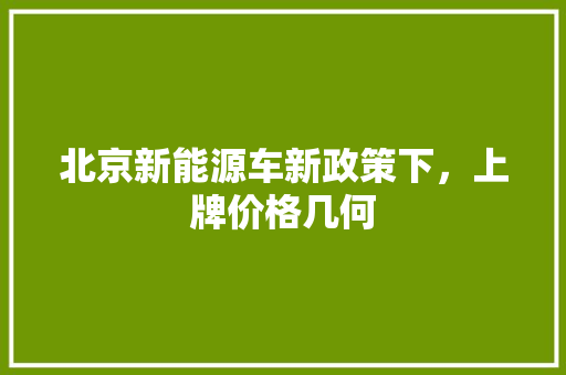 北京新能源车新政策下，上牌价格几何