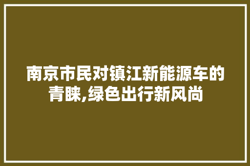 南京市民对镇江新能源车的青睐,绿色出行新风尚