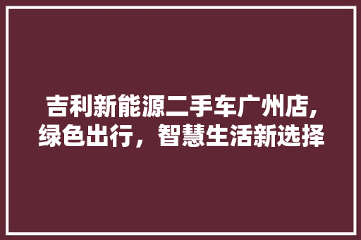 吉利新能源二手车广州店,绿色出行，智慧生活新选择