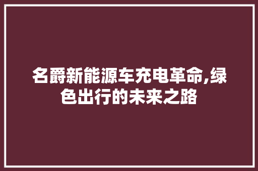 名爵新能源车充电革命,绿色出行的未来之路