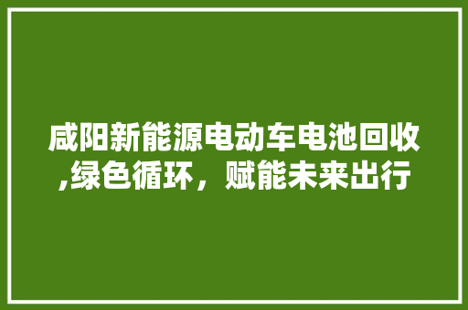 咸阳新能源电动车电池回收,绿色循环，赋能未来出行