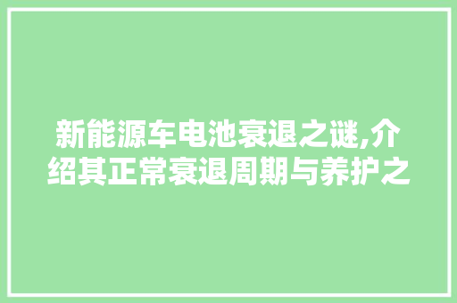 新能源车电池衰退之谜,介绍其正常衰退周期与养护之路