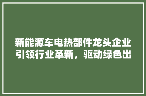 新能源车电热部件龙头企业引领行业革新，驱动绿色出行新篇章
