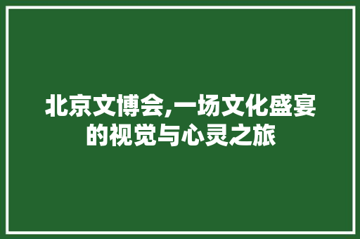 北京文博会,一场文化盛宴的视觉与心灵之旅