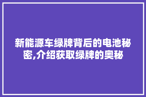 新能源车绿牌背后的电池秘密,介绍获取绿牌的奥秘