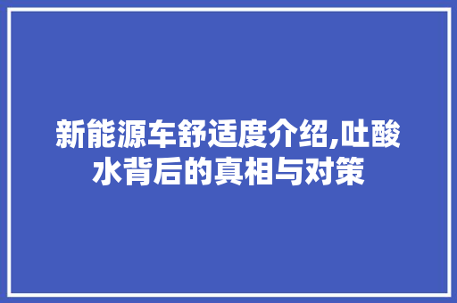 新能源车舒适度介绍,吐酸水背后的真相与对策