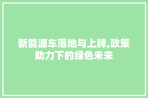 新能源车落地与上牌,政策助力下的绿色未来
