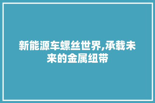 新能源车螺丝世界,承载未来的金属纽带