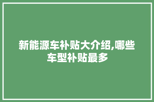 新能源车补贴大介绍,哪些车型补贴最多  第1张