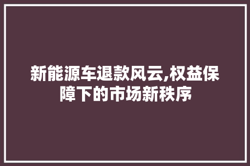 新能源车退款风云,权益保障下的市场新秩序