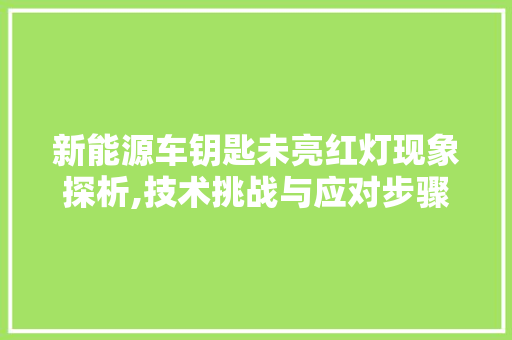 新能源车钥匙未亮红灯现象探析,技术挑战与应对步骤