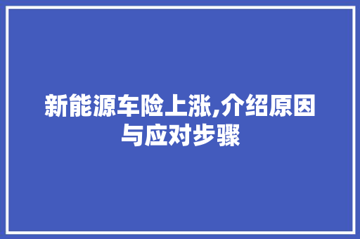 新能源车险上涨,介绍原因与应对步骤