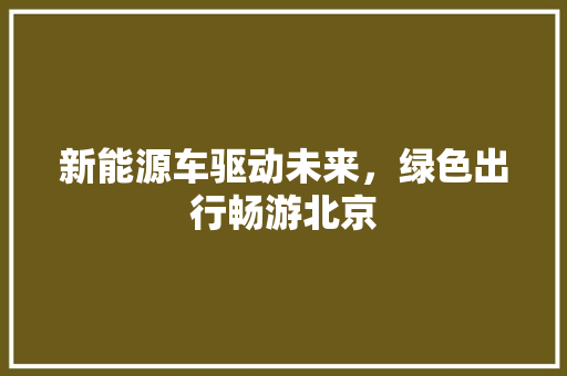 新能源车驱动未来，绿色出行畅游北京