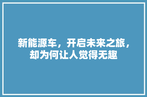 新能源车，开启未来之旅，却为何让人觉得无趣