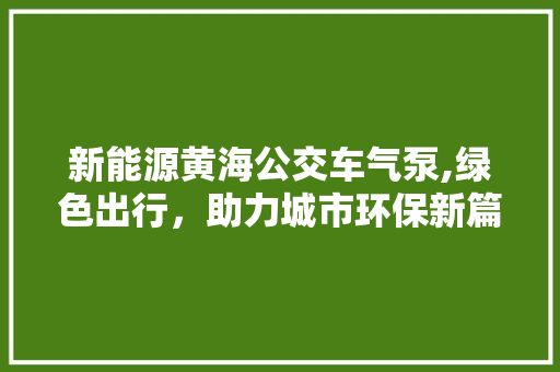 新能源黄海公交车气泵,绿色出行，助力城市环保新篇章  第1张