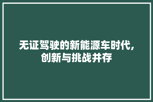 无证驾驶的新能源车时代,创新与挑战并存
