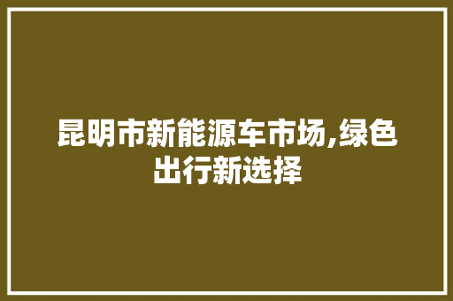 昆明市新能源车市场,绿色出行新选择