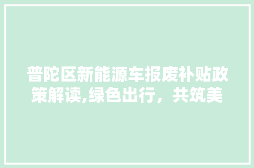 普陀区新能源车报废补贴政策解读,绿色出行，共筑美好未来