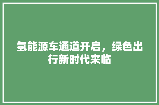 氢能源车通道开启，绿色出行新时代来临