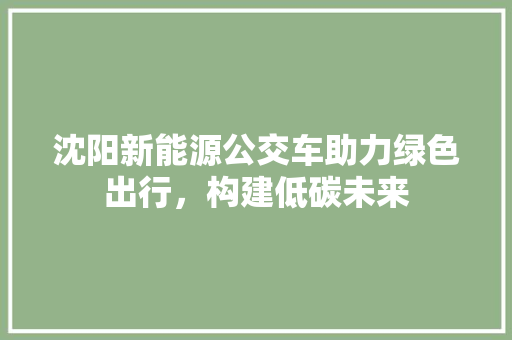 沈阳新能源公交车助力绿色出行，构建低碳未来