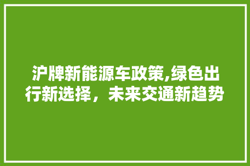 沪牌新能源车政策,绿色出行新选择，未来交通新趋势