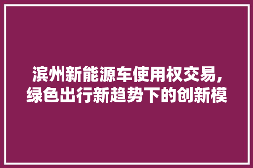 滨州新能源车使用权交易,绿色出行新趋势下的创新模式