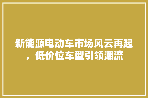 新能源电动车市场风云再起，低价位车型引领潮流