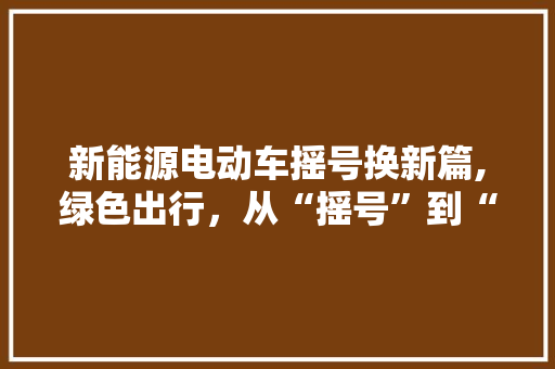 新能源电动车摇号换新篇,绿色出行，从“摇号”到“选号”  第1张