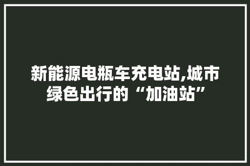 新能源电瓶车充电站,城市绿色出行的“加油站”