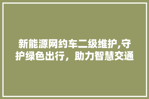 新能源网约车二级维护,守护绿色出行，助力智慧交通