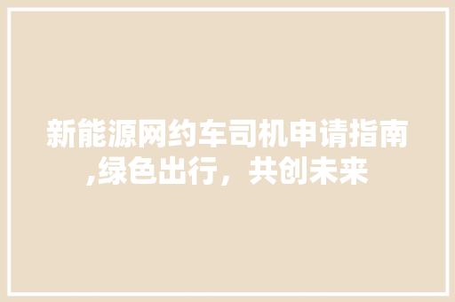 新能源网约车司机申请指南,绿色出行，共创未来