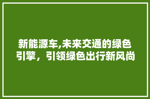 新能源车,未来交通的绿色引擎，引领绿色出行新风尚