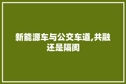 新能源车与公交车道,共融还是隔阂