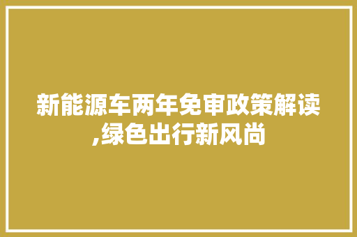 新能源车两年免审政策解读,绿色出行新风尚