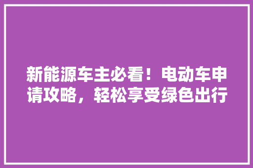 新能源车主必看！电动车申请攻略，轻松享受绿色出行