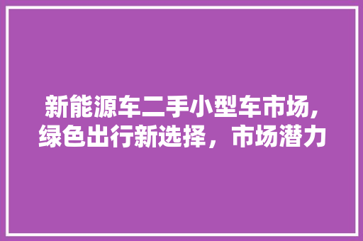 新能源车二手小型车市场,绿色出行新选择，市场潜力无限