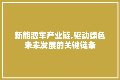 新能源车产业链,驱动绿色未来发展的关键链条
