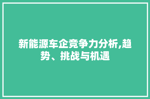 新能源车企竞争力分析,趋势、挑战与机遇