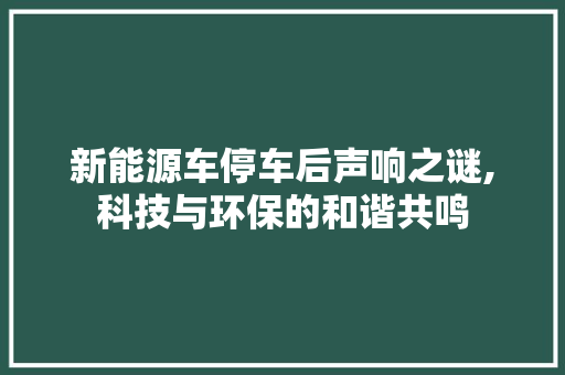 新能源车停车后声响之谜,科技与环保的和谐共鸣