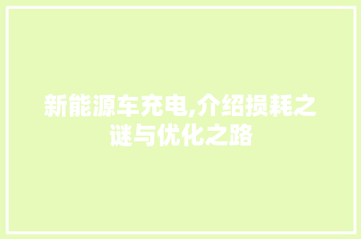 新能源车充电,介绍损耗之谜与优化之路