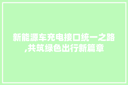 新能源车充电接口统一之路,共筑绿色出行新篇章  第1张