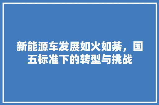 新能源车发展如火如荼，国五标准下的转型与挑战