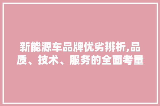 新能源车品牌优劣辨析,品质、技术、服务的全面考量
