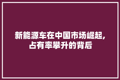 新能源车在中国市场崛起,占有率攀升的背后